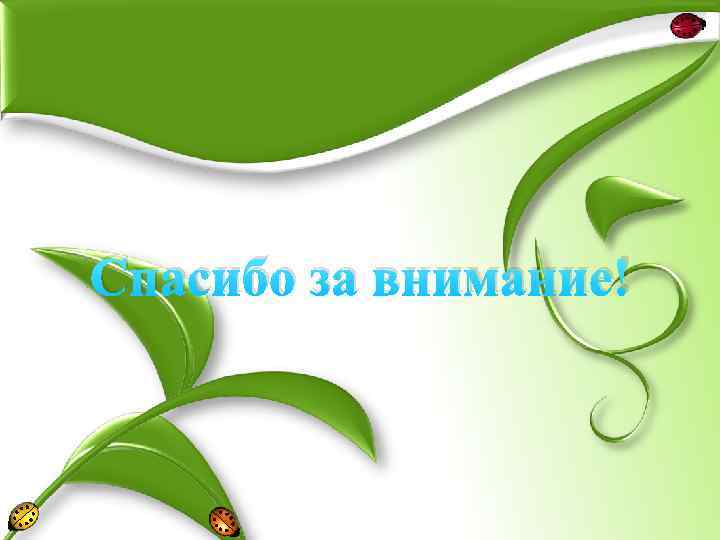 Спасибо за внимание! 