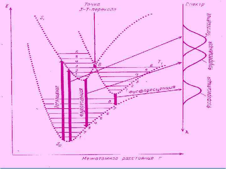 Фосфоресценция 
