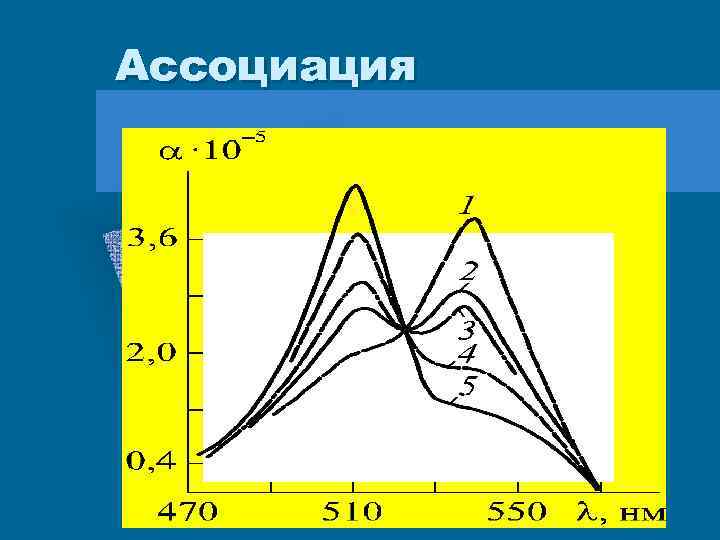 Ассоциация 