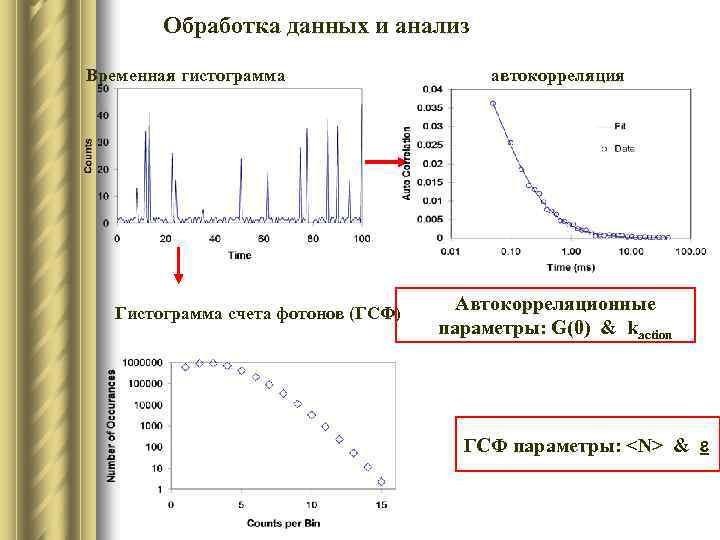 Обработка данных и анализ Временная гистограмма Гистограмма счета фотонов (ГСФ) автокорреляция Автокорреляционные параметры: G(0)