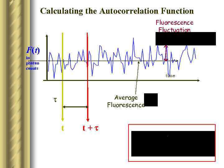 Calculating the Autocorrelation Function Fluorescence Fluctuation F(t) in photon counts time Average Fluorescence t