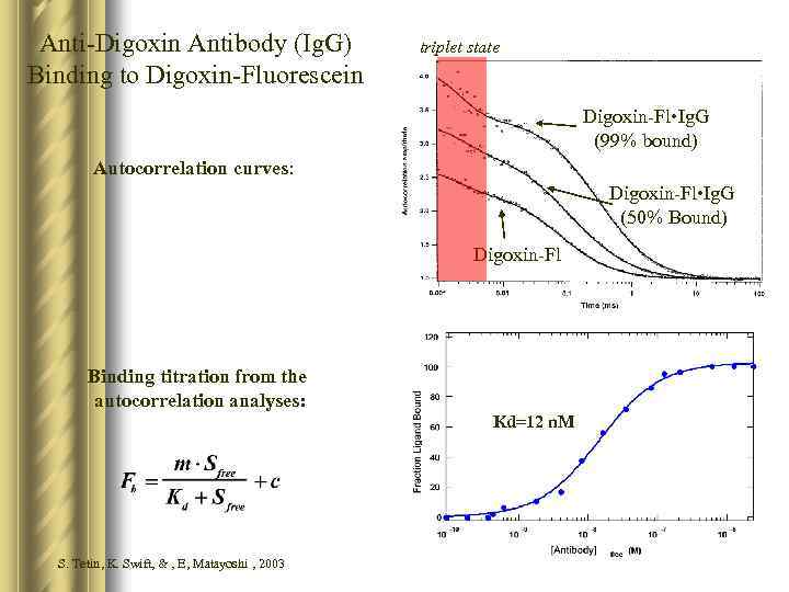 Anti-Digoxin Antibody (Ig. G) Binding to Digoxin-Fluorescein triplet state Digoxin-Fl • Ig. G (99%