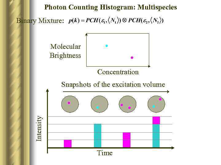 Photon Counting Histogram: Multispecies Binary Mixture: Molecular Brightness Concentration Intensity Snapshots of the excitation