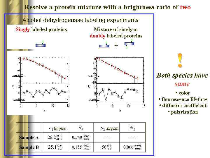 Resolve a protein mixture with a brightness ratio of two Alcohol dehydrogenase labeling experiments