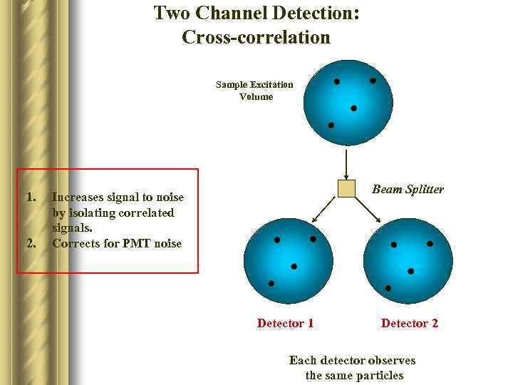 Two Channel Detection: Cross-correlation Sample Excitation Volume 1. 2. Beam Splitter Increases signal to