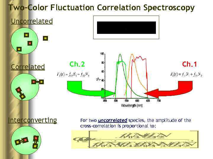 Two-Color Fluctuation Correlation Spectroscopy Uncorrelated Correlated Interconverting Ch. 2 Ch. 1 For two uncorrelated