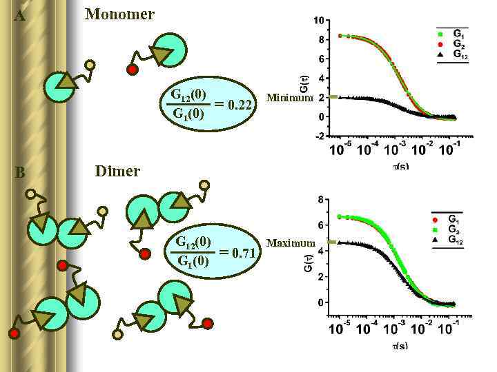 A Monomer G 12(0) G 1(0) B = 0. 22 Minimum Dimer G 12(0)