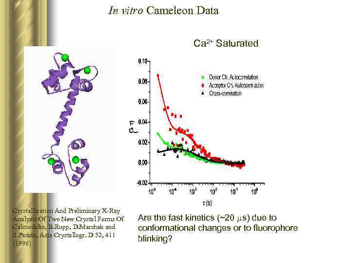 In vitro Cameleon Data Ca 2+ Saturated Crystallization And Preliminary X-Ray Analysis Of Two