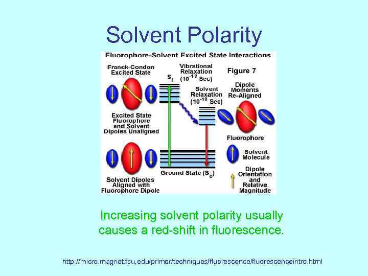 Solvent Polarity Increasing solvent polarity usually causes a red-shift in fluorescence. http: //micro. magnet.