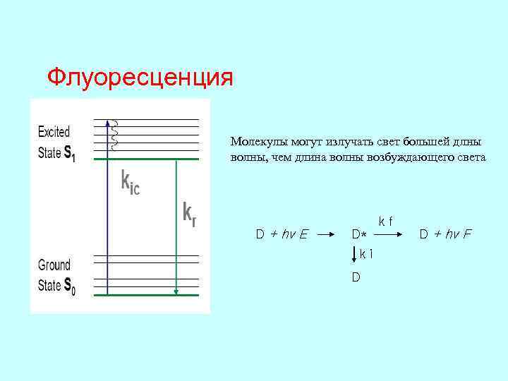 Флуоресценция Молекулы могут излучать свет большей длны волны, чем длина волны возбуждающего света D