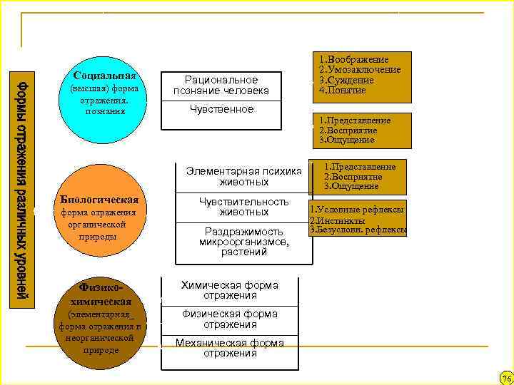 Природные основы познания Социальная (высшая) форма отражения. познания Рациональное познание человека Чувственное познание человека
