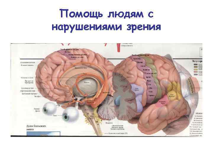 Помощь людям с нарушениями зрения 