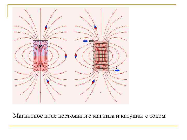 Магнитное поле постоянного магнита и катушки с током 