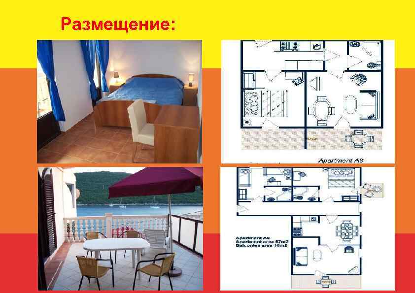 Размещение: 