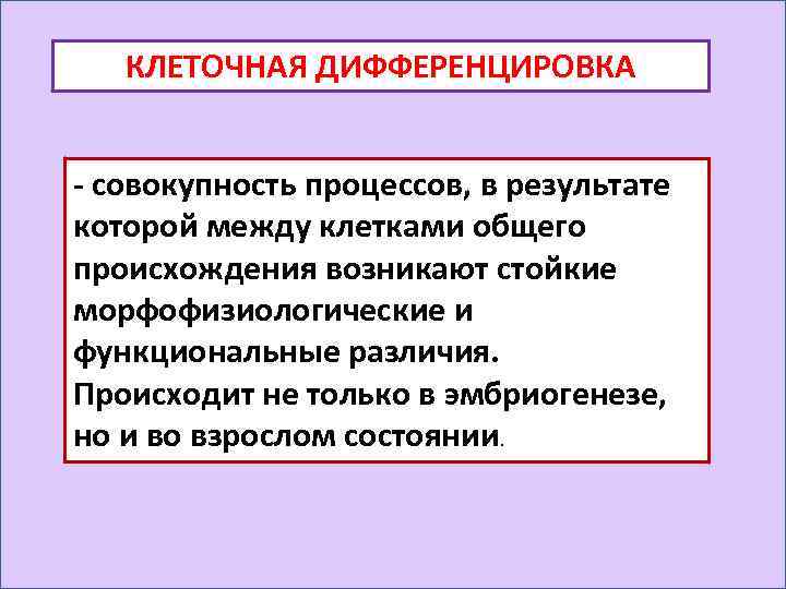 Дифференцировка клеток презентация 10 класс