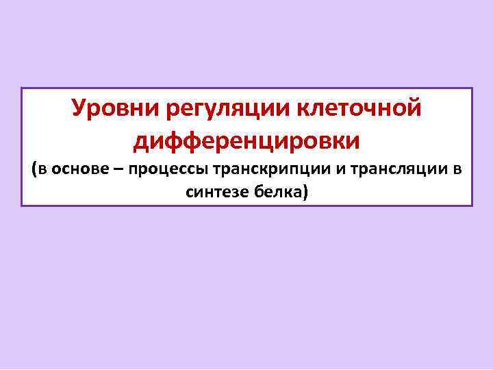 Уровни регуляции клеточной дифференцировки (в основе – процессы транскрипции и трансляции в синтезе белка)