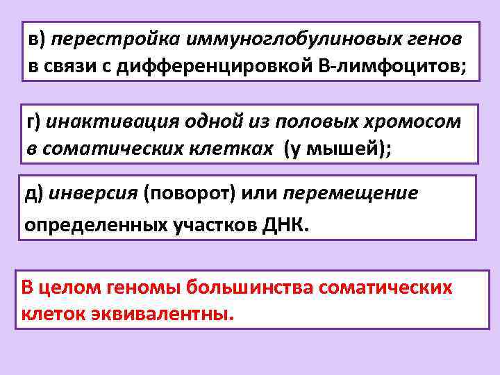 в) перестройка иммуноглобулиновых генов в связи с дифференцировкой В-лимфоцитов; г) инактивация одной из половых