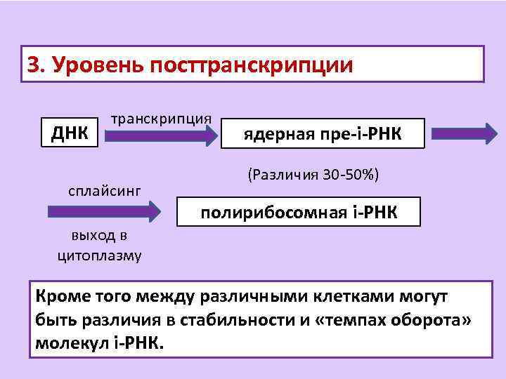 3. Уровень посттранскрипции ДНК транскрипция сплайсинг ядерная пре-i-РНК (Различия 30 -50%) полирибосомная i-РНК выход