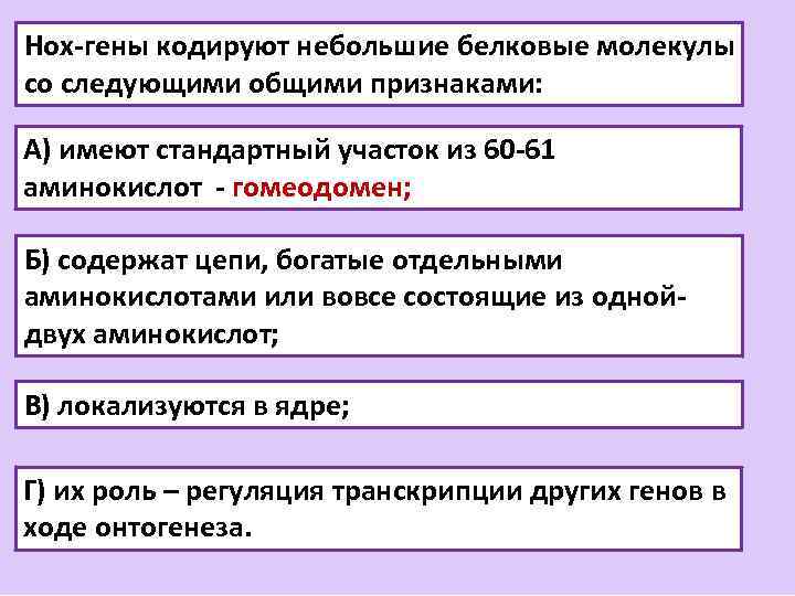 Нох-гены кодируют небольшие белковые молекулы со следующими общими признаками: А) имеют стандартный участок из