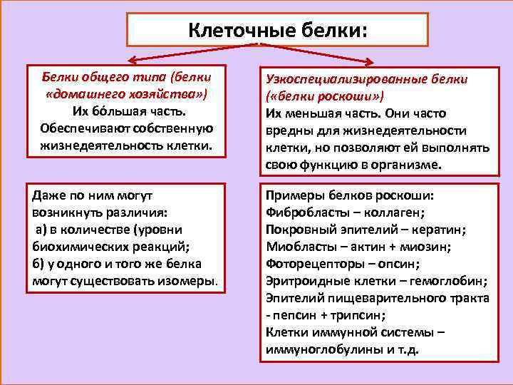 Клеточные белки: Белки общего типа (белки «домашнего хозяйства» ) Их бόльшая часть. Обеспечивают собственную