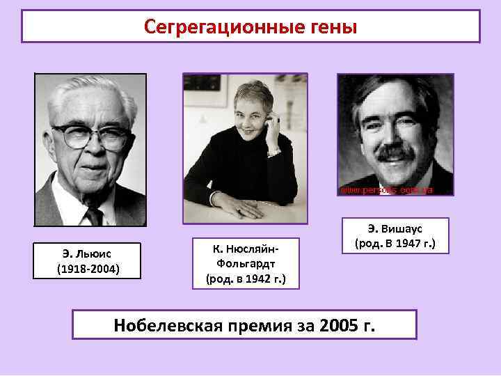 Сегрегационные гены ( Э. Льюис (1918 -2004) К. Нюсляйн. Фольгардт (род. в 1942 г.