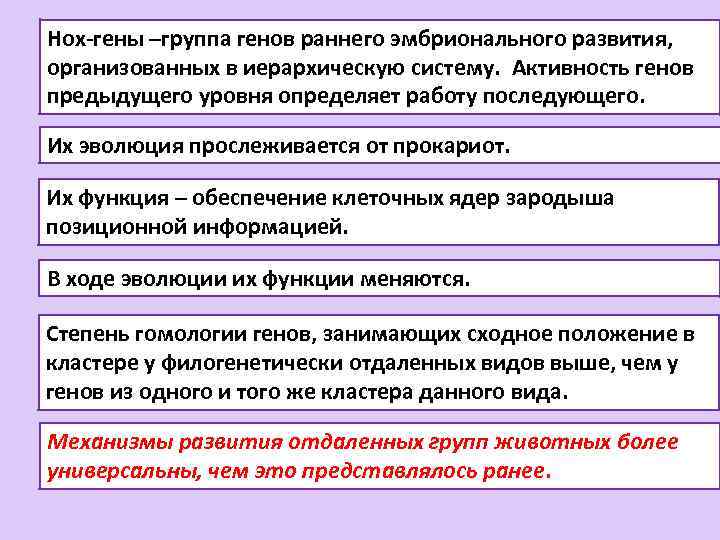 Нох-гены –группа генов раннего эмбрионального развития, организованных в иерархическую систему. Активность генов предыдущего уровня