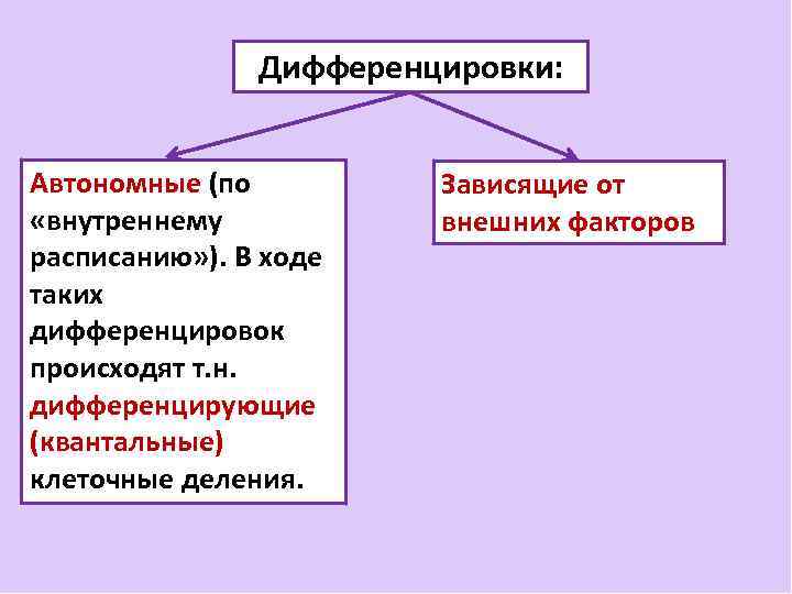 Дифференцировки: Автономные (по «внутреннему расписанию» ). В ходе таких дифференцировок происходят т. н. дифференцирующие