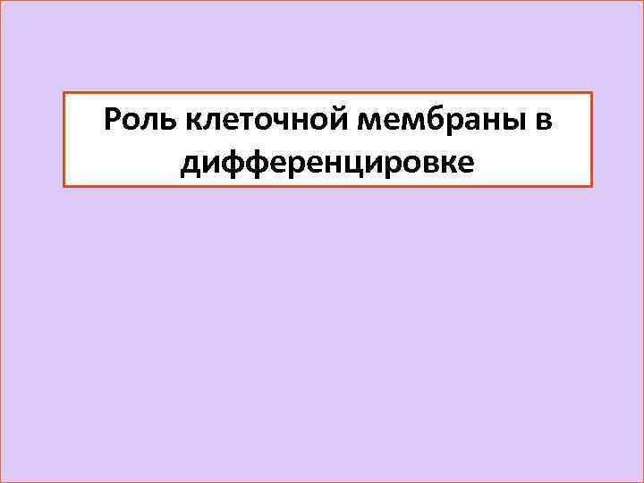 Роль клеточной мембраны в дифференцировке 