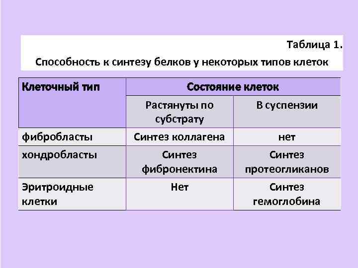 Таблица 1. Способность к синтезу белков у некоторых типов клеток Клеточный тип фибробласты хондробласты
