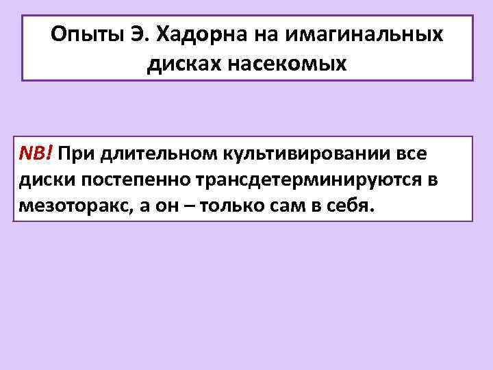 Опыты Э. Хадорна на имагинальных дисках насекомых NB! При длительном культивировании все диски постепенно
