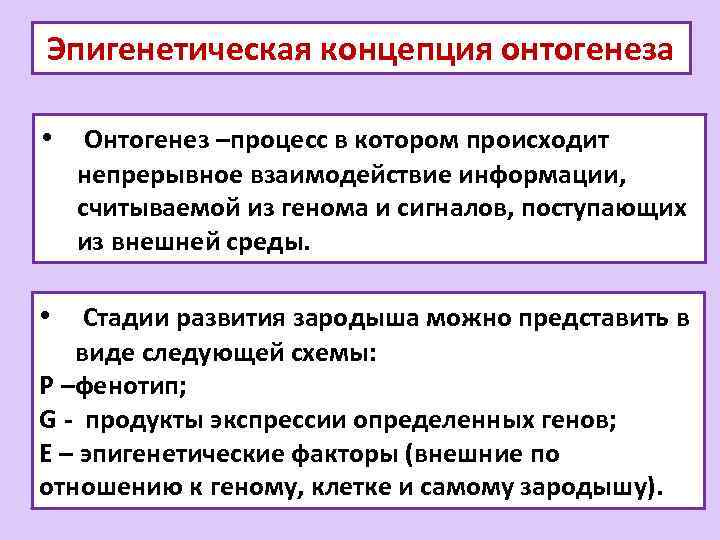 Эпигенетическая концепция онтогенеза • Онтогенез –процесс в котором происходит непрерывное взаимодействие информации, считываемой из
