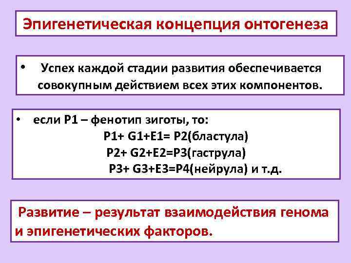 Эпигенетическая концепция онтогенеза • Успех каждой стадии развития обеспечивается совокупным действием всех этих компонентов.