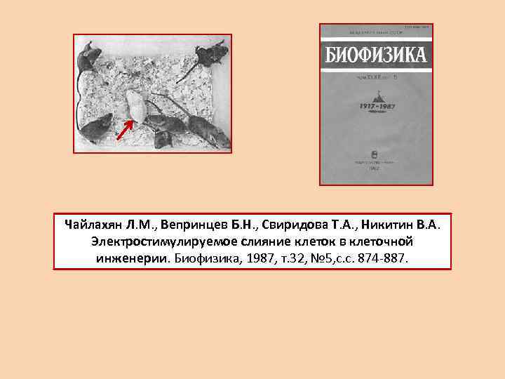 Чайлахян Л. М. , Вепринцев Б. Н. , Свиридова Т. А. , Никитин В.