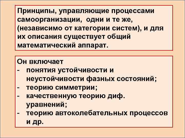 Принципы, управляющие процессами самоорганизации, одни и те же, (независимо от категории систем), и для