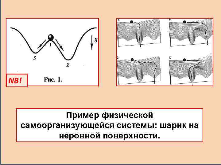 Пример физической самоорганизующейся системы: шарик на неровной поверхности. 