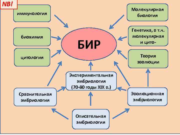 NB! иммунология Молекулярная биология биохимия Генетика, в т. ч. молекулярная и цито- БИР Теория