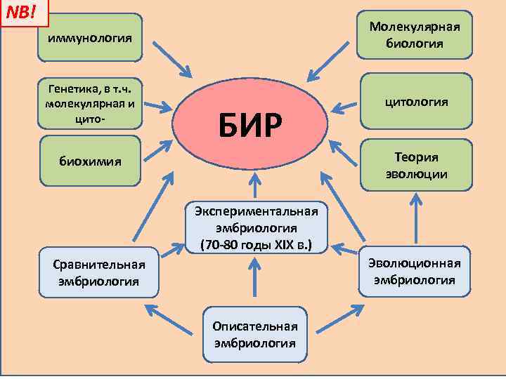 NB! иммунология Молекулярная биология Генетика, в т. ч. молекулярная и цито- цитология БИР Теория