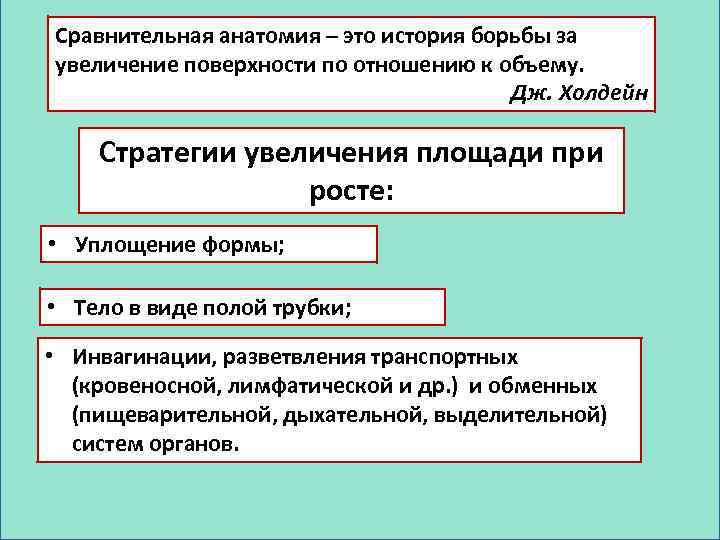 Сравнительная анатомия – это история борьбы за увеличение поверхности по отношению к объему. Дж.