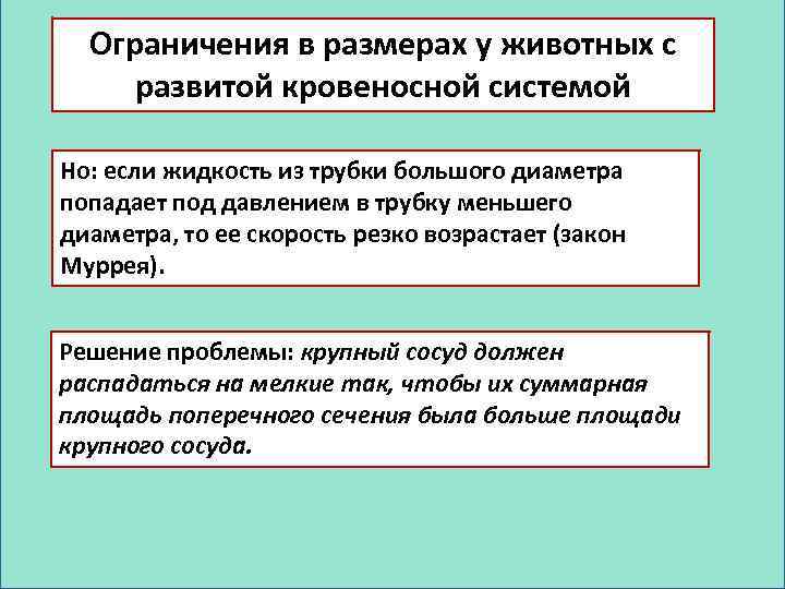 Ограничения в размерах у животных с развитой кровеносной системой Но: если жидкость из трубки