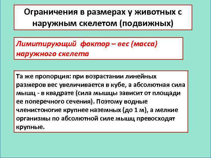 Ограничения в размерах у животных с наружным скелетом (подвижных) Лимитирующий фактор – вес (масса)