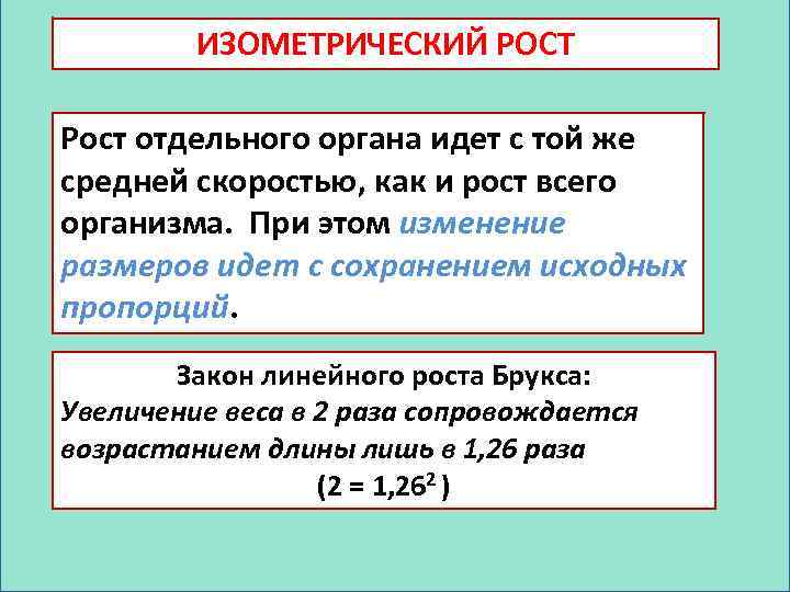 ИЗОМЕТРИЧЕСКИЙ РОСТ Рост отдельного органа идет с той же средней скоростью, как и рост