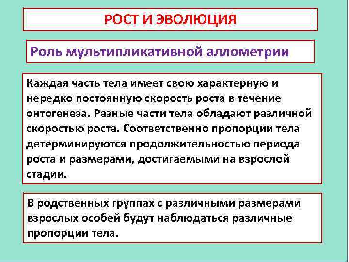 РОСТ И ЭВОЛЮЦИЯ Роль мультипликативной аллометрии Каждая часть тела имеет свою характерную и нередко