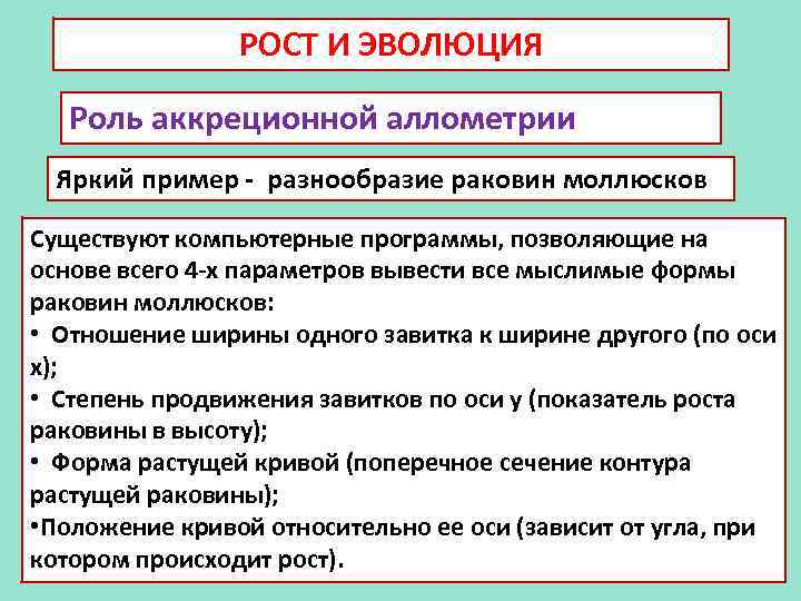 РОСТ И ЭВОЛЮЦИЯ Роль аккреционной аллометрии Яркий пример - разнообразие раковин моллюсков Существуют компьютерные