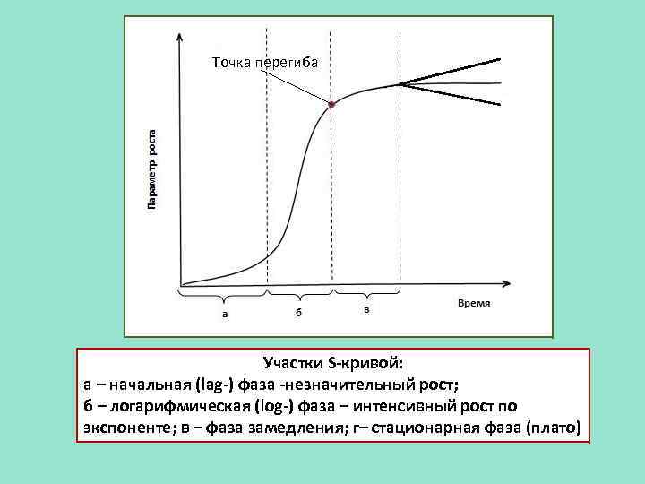 Изменение массы в на графике