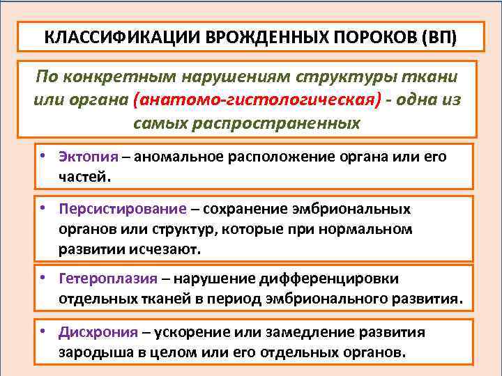 КЛАССИФИКАЦИИ ВРОЖДЕННЫХ ПОРОКОВ (ВП) По конкретным нарушениям структуры ткани или органа (анатомо-гистологическая) - одна