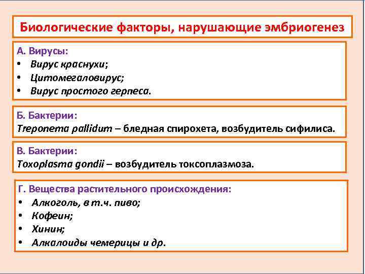 Биологические факторы, нарушающие эмбриогенез А. Вирусы: • Вирус краснухи; • Цитомегаловирус; • Вирус простого