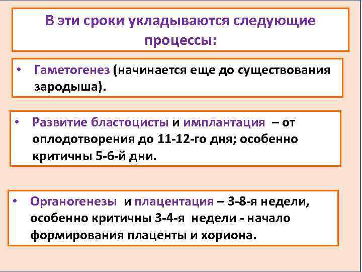 В эти сроки укладываются следующие процессы: • Гаметогенез (начинается еще до существования зародыша). •