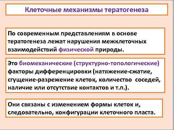 Клеточные механизмы тератогенеза По современным представлениям в основе тератогенеза лежат нарушения межклеточных взаимодействий физической