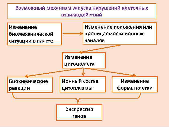 Возможный механизм запуска нарушений клеточных взаимодействий Изменение биомеханической ситуации в пласте Изменение положения или