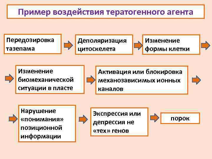 Пример воздействия тератогенного агента Передозировка тазепама Изменение биомеханической ситуации в пласте Нарушение «понимания» позиционной